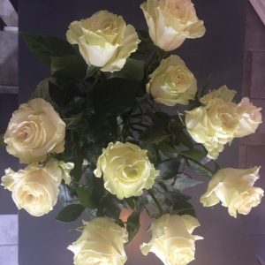 Rose-Blanche-Fleurs