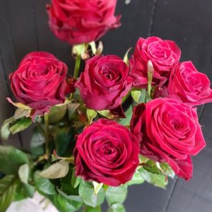 bouquet de sept roses rouges